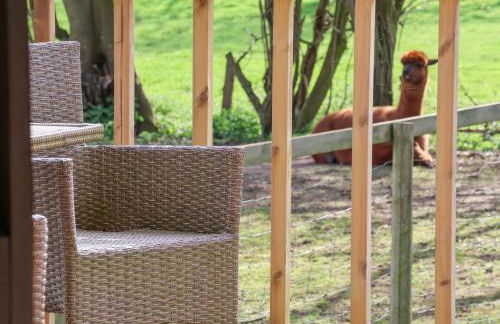 Duck Lodge - Foto 17