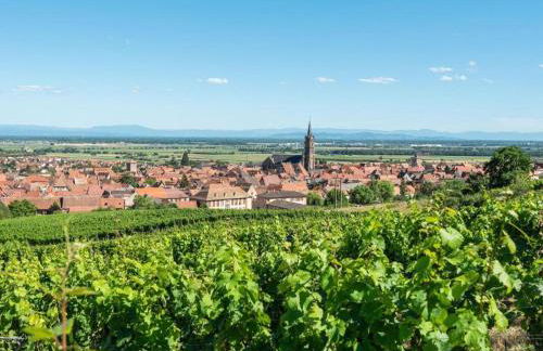 la grange à Emile - Foto 22