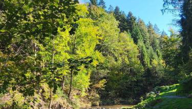 Szafran Home Spa - Foto 4, Garden