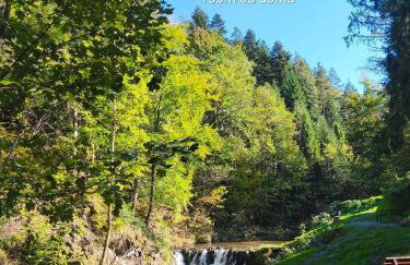 Szafran Home Spa - Foto 4