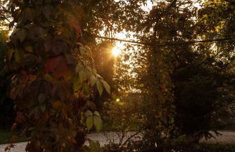 Villa Biondelli Wine & Suites - Foto 36