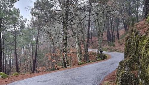 Casa da Avó Ana - Peroviseu - Serra da Gardunha - Serra da Estrela - Foto 2