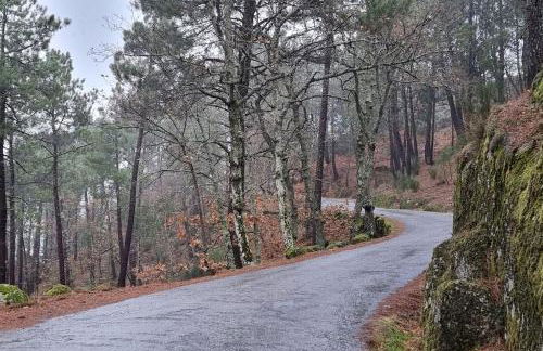 Casa da Avó Ana - Peroviseu - Serra da Gardunha - Serra da Estrela - Foto 2