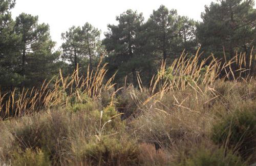 Esencia Lodge - luxurious off-grid cabin retreat - Foto 22