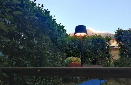 Il Mirto Fragrante - Foto 19