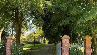 Deichgraf Emden - Foto 2, Garden view