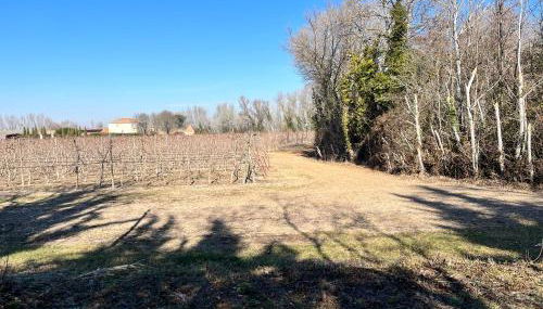 Maison : L'Appart des Anges 10 personnes - Foto 4