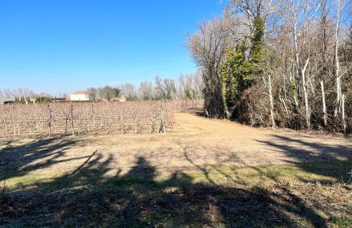 Maison : L'Appart des Anges 10 personnes - Foto 4