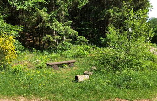 CASA Palatina - Foto 22