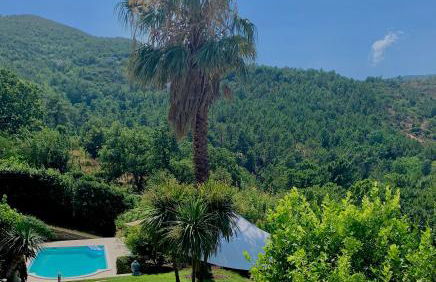 White Dream Spotorno - Foto 10