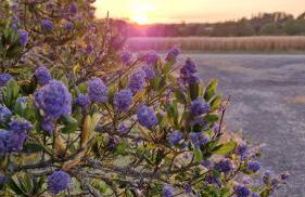 Meublé 5* Au gré des saisons - Photo 19