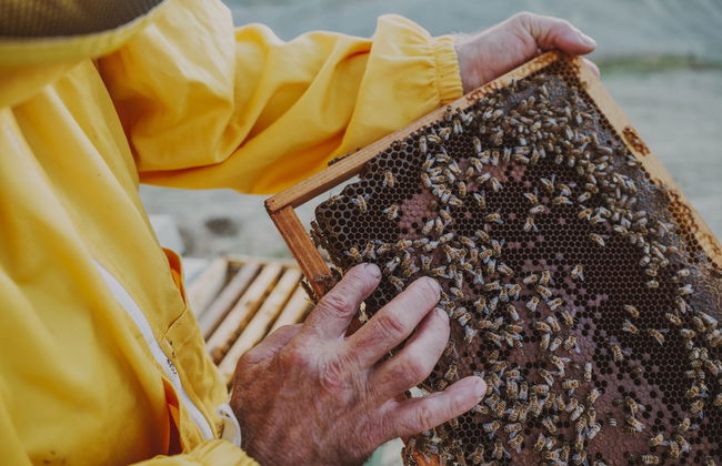 Agriturismo Podere Diacceroni - Foto 39