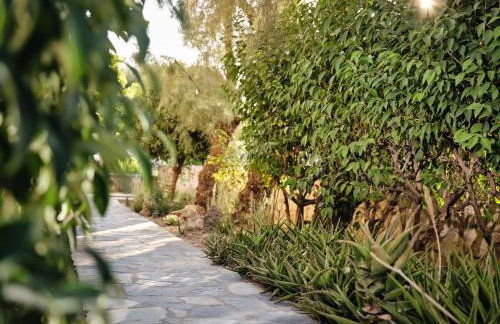 Nomas Living - Foto 10