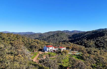 Finca Bravo - Foto 1