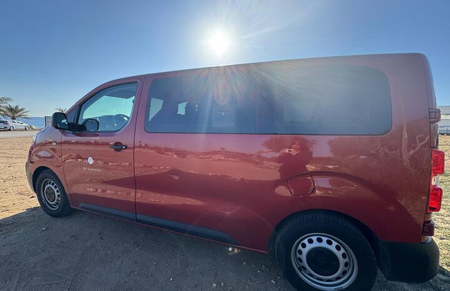 Alicante; Recorrido Vinícola Bodega Cata Vinos, Comida y Traslado - Foto 25