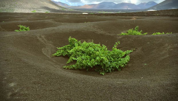 Lanzarote - Grand Tour - Photo 5