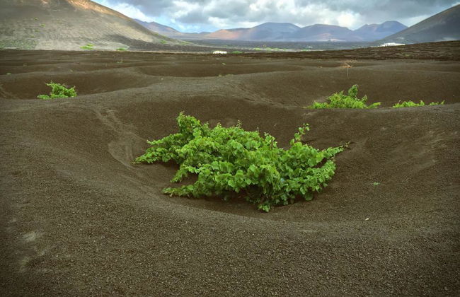 Lanzarote - Grand Tour - Photo 5