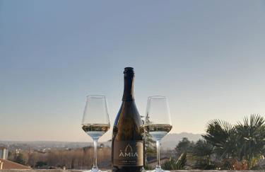 AMIA rooms & wine - Foto 17