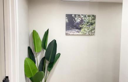 Private Home - Heated Pool, Billiards, Darts, Foosball, Fireplace, 5 Smart TVs, BBQ, Cotton Bedding - The Saguaro Sanctuary, Pool Heat Optional - Foto 54