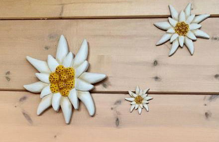 Blockhaus Edelweiss - Foto 32