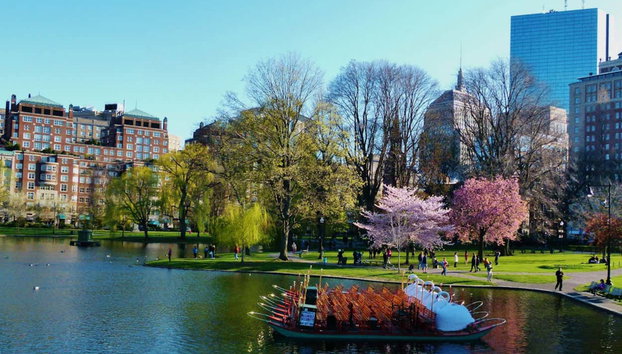 Visita guidata di Boston - Foto 2