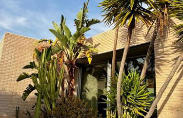 Legendary Lemon - Photo 14