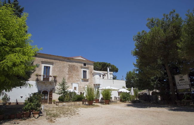 Masseria Citulo - Il Pino Grande - Foto 48