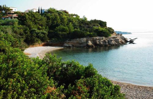 Studio Gerani 1 - Foto 12