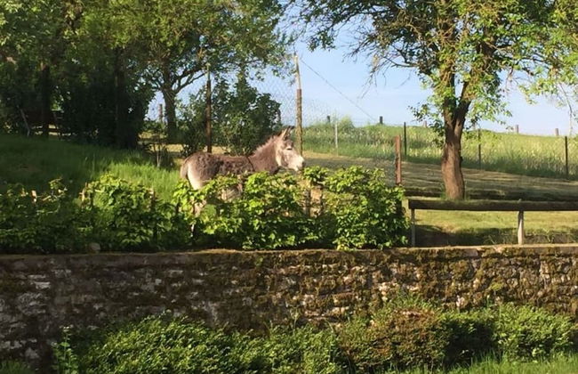 Holiday Apartment at Castle I - Foto 30