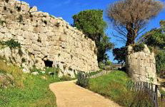 Sweet Home Sofia - Photo 26