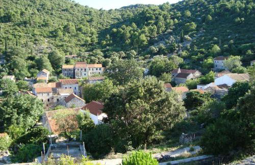 Apartments with parking space Prozura, Mljet - 22331 - Foto 12