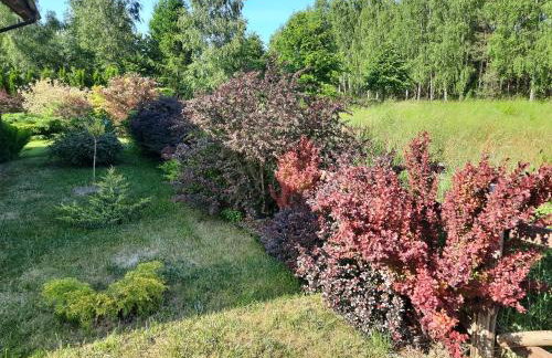 Wycinki domek - Foto 13