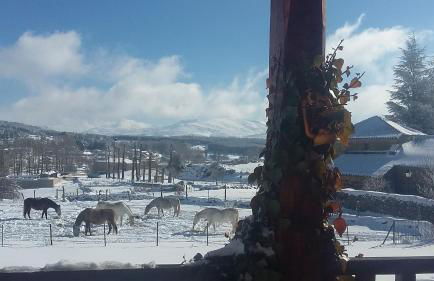 Casa del Altozano - Foto 43