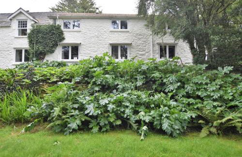 2 Bed in Cemmaes 93078 - Photo 25