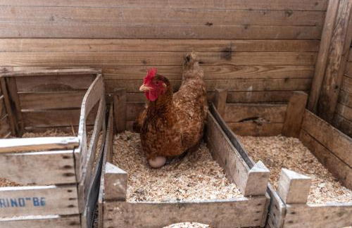 Relais di Campagna I Tamasotti - Foto 29