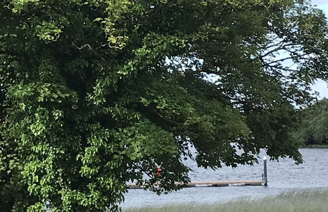 The Old Boathouse - Photo 19