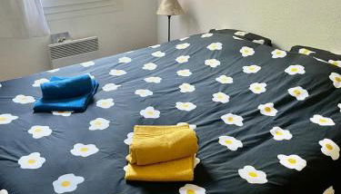 Appartement T2 TOULOUSE ST MARTIN DU TOUCH - Foto 2