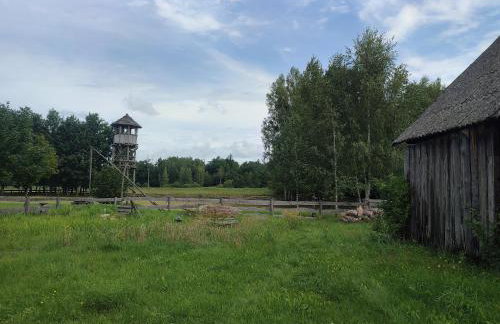 Domek Teremiski - Foto 13