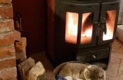 Propolis house - Foto 29