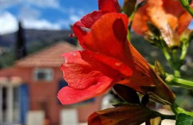 Mountain Breeze Cottage - Foto 15