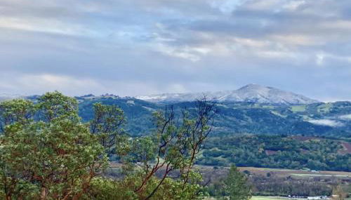 Spectacular vineyard views - Foto 2