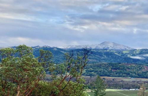 Spectacular vineyard views - Foto 2