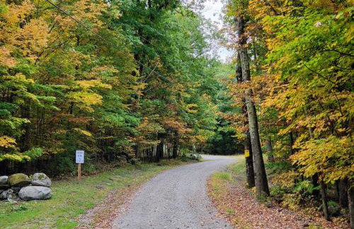 Stunning Views from the Fire Tower Cabin - Foto 31
