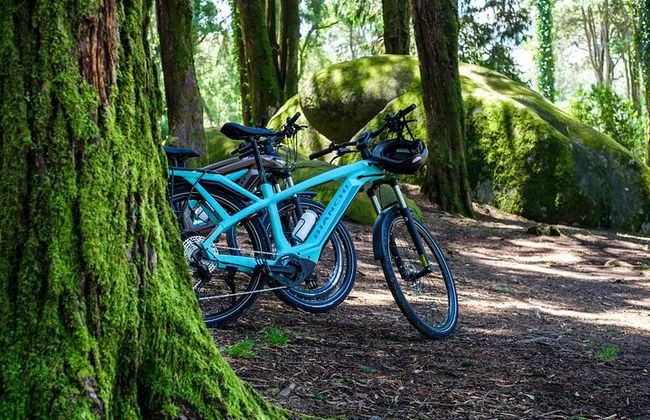 Lisbona: Sintra, Cascais, Cabo DA Roca in E-Bike + Transfer - Foto 2