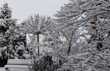 Miętowy domek - Foto 25