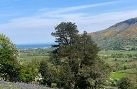 Tavnaghoney Cottages - Foto 3