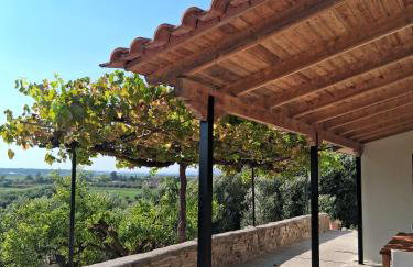 Theoni's Home - Foto 1