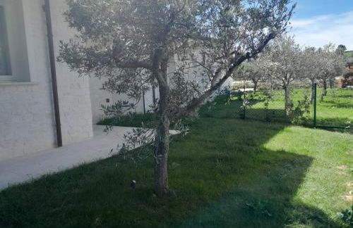 Borgopetra Resort Numana - Foto 53