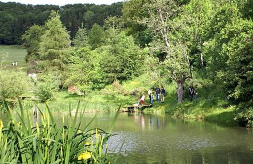 Ferienwohnung Seeleshof - Foto 31