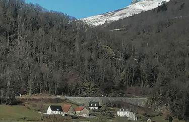 La basse-cour - Photo 12